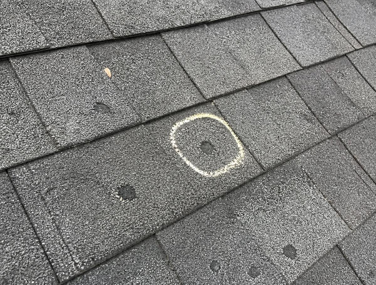 Hail impact damage on asphalt shingles showing granule loss